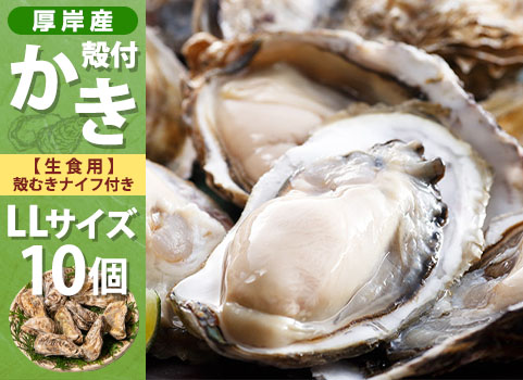 殻付かき 10個入・LLサイズ（北海道 厚岸産）