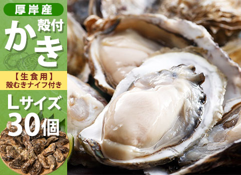 殻付かき 30個入・Lサイズ（北海道 厚岸産）