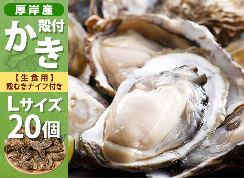 殻付かき 20個入・Lサイズ（北海道 厚岸産）