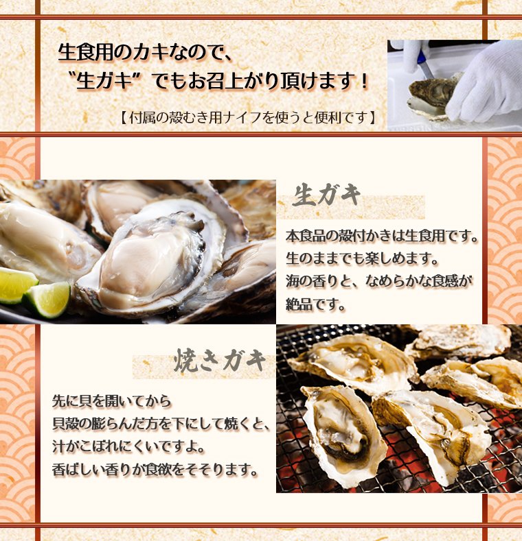 殻付かき「ガンガン焼き」セット 30個入・Mサイズ（北海道  厚岸産）｜【北海道ぎょれん｜お取り寄せ・通販】旬の海産物を産地直送！かに・ほたて・いくら・鮭なら産直ネットショップへ