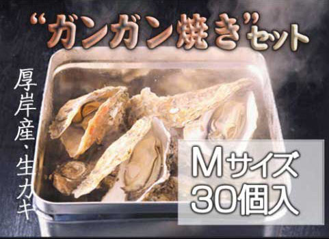 殻付かき「ガンガン焼き」セット 30個入・Mサイズ（北海道 厚岸産）