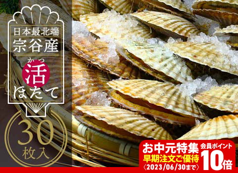 【お中元ギフト】最北端 宗谷産 活ほたて（30枚入）