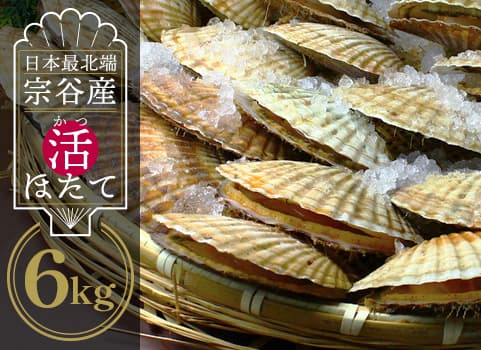 【2024年4月中旬 販売再開予定】最北端 宗谷産 活ほたて（30枚入）