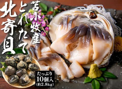 とれたて「北寄（ほっき）貝」 10個／2.8kg前後（北海道 苫小牧産）
