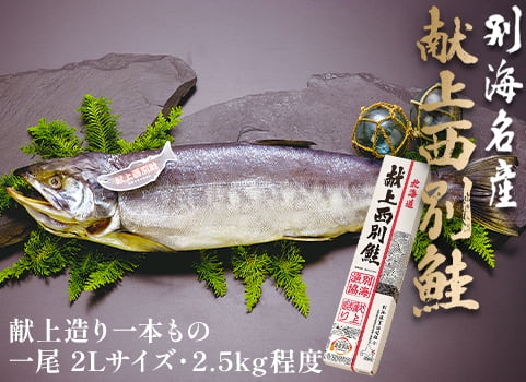 新巻鮭「献上西別鮭」献上造り一本もの 2.5kg程度（北海道 別海産）