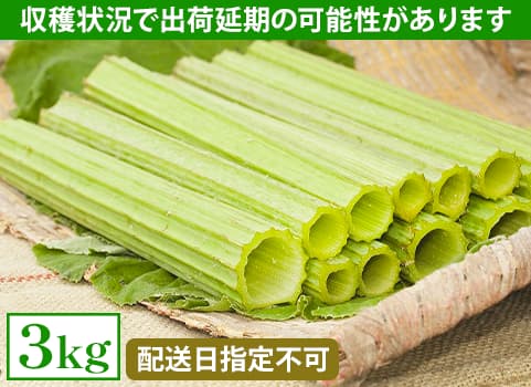 【2026年6月初旬頃 販売再開予定】- 生ラワンぶき 3kg（北海道 足寄産）