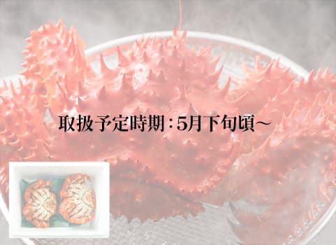 【2025年5月下旬 販売再開予定】チルド浜ゆで花咲がに 400～500g×2尾入（花咲かに：北海道浜中沖）