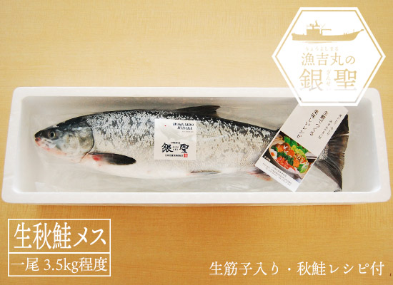 漁吉丸の銀聖生秋鮭（オス・3.5kg）｜【北海道ぎょれん｜お取り寄せ