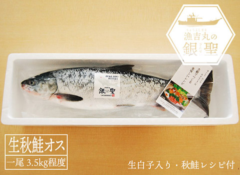 漁吉丸の銀聖生秋鮭（オス・3.5kg）