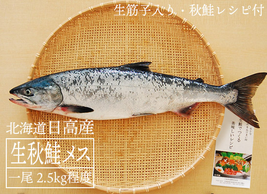 【9月下旬 販売再開予定】日高産 生秋鮭（メス・2.5kg）