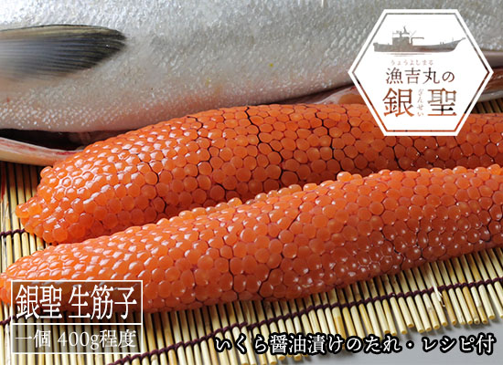 【2026年10月中旬 販売再開予定】漁吉丸の銀聖 生筋子 400g（漬けダレ・レシピ付き）