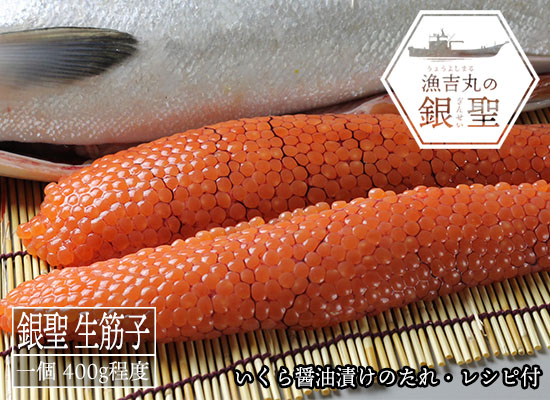 【9月下旬 販売再開予定】漁吉丸の銀聖 生筋子 400g（漬けダレ・レシピ付き）
