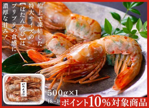 刺身用 特大ボタンえび(500g)【お中元ギフト】