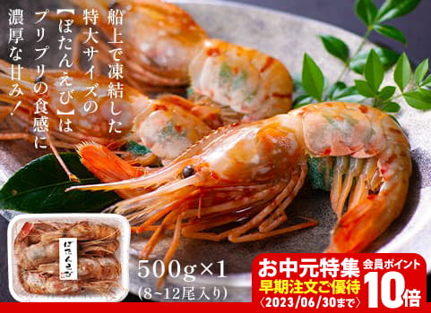 【お中元ギフト】刺身用 特大ボタンえび（500g）