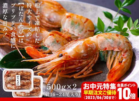 【お中元ギフト】刺身用 特大ボタンえび（500g×2）