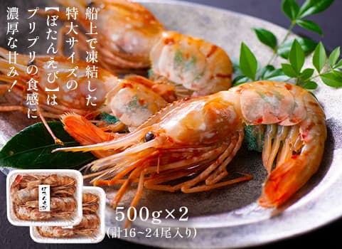 刺身用 特大ボタンえび（500g×2）