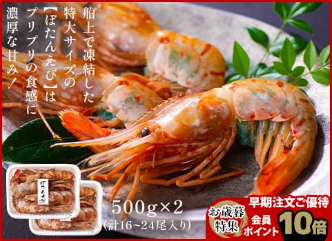 【お歳暮】特大ボタンえび 500g×2（刺身用・子持ち）