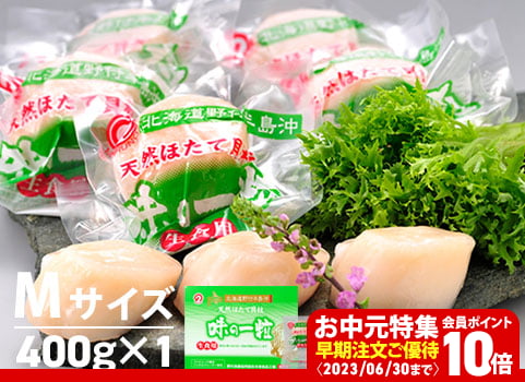 【お中元ギフト】ほたて貝柱「味の一粒」400g・Mサイズ（北海道 野付産・刺身用冷凍）