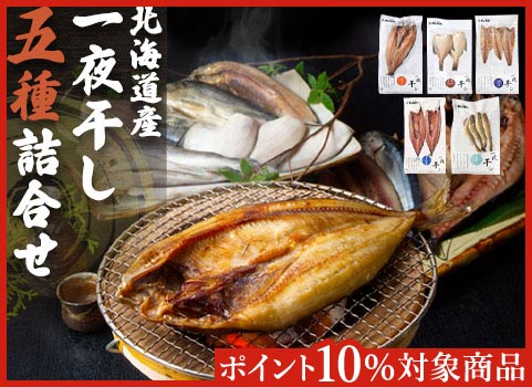 北海道産 一夜干し五種詰合せ【お中元ギフト】