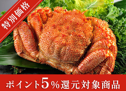 浜ゆで毛がに 550g×1尾(北海道 宗谷産・ボイル冷凍)【お中元ギフト】