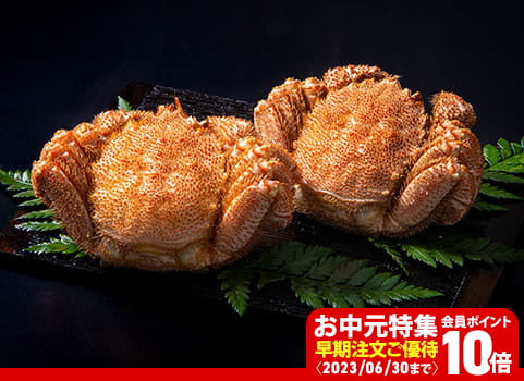 【お中元ギフト】浜ゆで毛がに 440g×2尾（毛がに：北海道宗谷産・ボイル冷凍）
