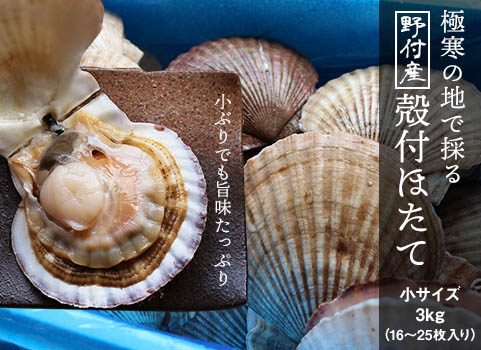 【入荷未定】野付産 殻付ほたて 小サイズ（3.0kg／16～25枚程度）