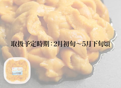 【2024年1月下旬 販売再開予定】羅臼産 生うに（塩水パック）100g×1