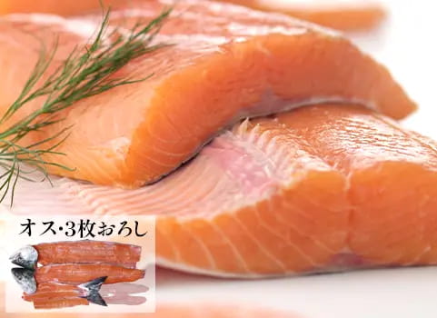 【9月中旬 販売再開予定】羅臼産 天然生秋鮭【3.0kg～3.3kg程度・オス・3枚おろし】