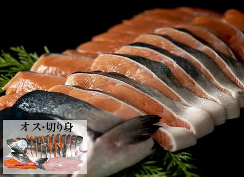 【9月中旬 販売再開予定】羅臼産 天然生秋鮭【3.0kg～3.3kg程度・オス・切身】