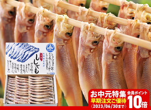 【お中元ギフト】“本”ししゃも「生干し」 夫婦セット（ししゃも：北海道 広尾産）【メス20尾＆オス20尾】
