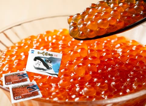 いくら醤油漬 250g×2（鮭いくら：北海道産・有機醤油使用）