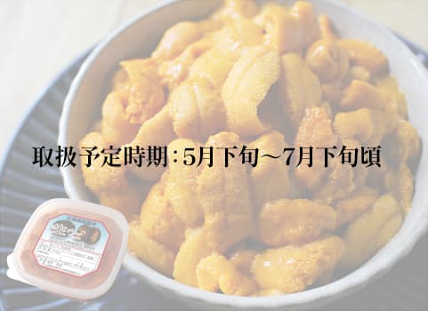 【2024年5月下旬 新規販売予定】塩水うに 100g×1（エゾバフンウニ・北海道 積丹産）