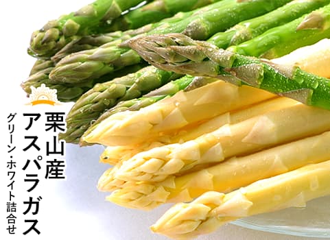 【2024年4月中旬 販売再開予定】朝採りアスパラガス詰合せ グリーン・ホワイト（北海道 栗山産）