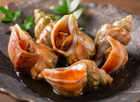 手間いらずの 青つぶ貝 1kg Llサイズ 北海道産 レビュー一覧 北海道ぎょれん 産直ネットショップ 旬の海産物を産地直送かに ほたて 鮭 いくらお取り寄せギフト通販