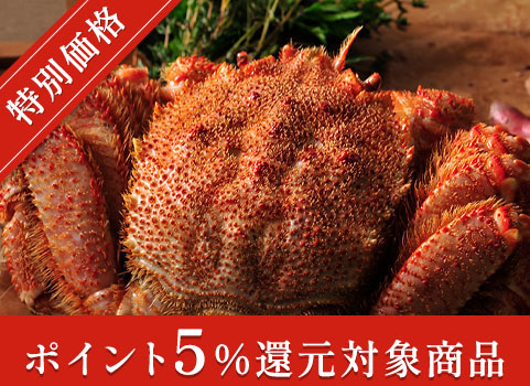 浜ゆで毛がに 800g×1尾(北海道 オホーツク産・ボイル冷凍)【お中元ギフト】