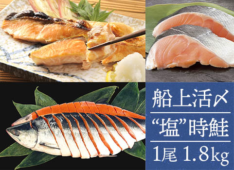 塩時鮭「船上活〆」1尾 1.8kg（北海道 日高産）