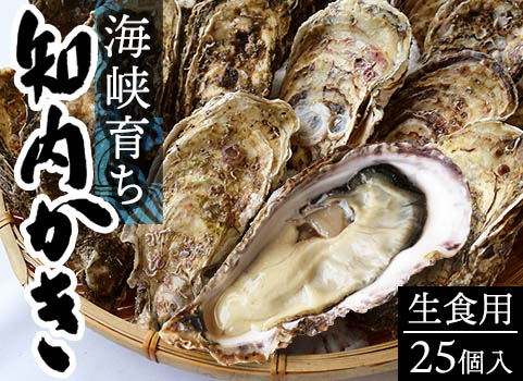 【2023年3月下旬 販売再開予定】海峡育ち 知内かき（殻付生食用・25個入）