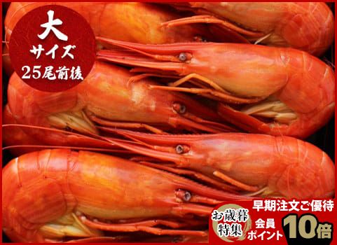 【お歳暮】北海しまえび 500g・大サイズ（ボイル冷凍）