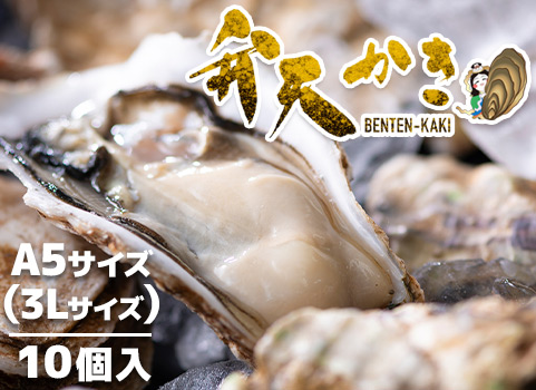 弁天かき 10個入【A5（3L）サイズ】（北海道 厚岸産・殻付き）