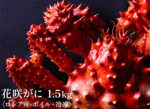 【入荷未定】花咲がに 1.5kg×1尾（花咲がに：ロシア産・ボイル冷凍）