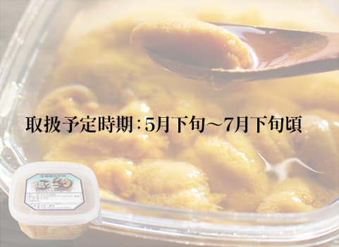 【2024年5月下旬 販売再開予定】塩水生うに 100g×1（うに：北海道 積丹産）