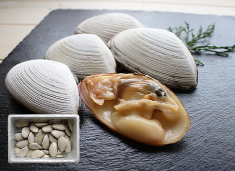 【活】特大白貝（シロガイ） 2kg／20～26枚 (北海道 知床斜里産)