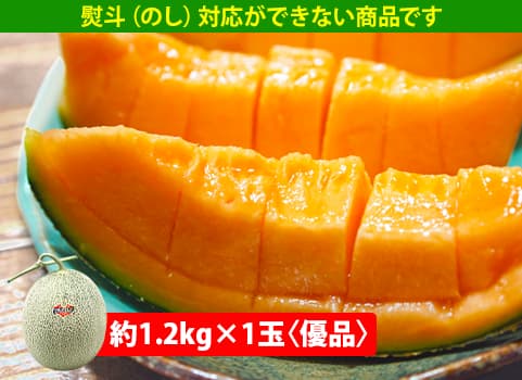 【7月上旬～中旬頃 随時発送予定】　夕張メロン（共撰）1玉