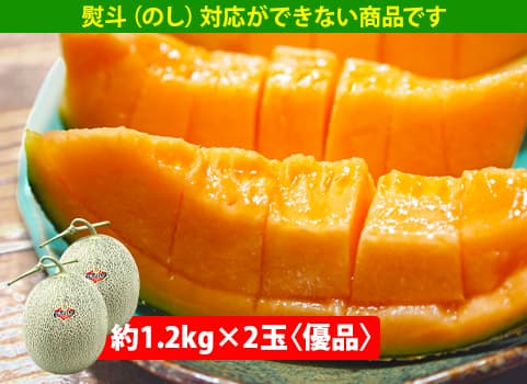 【7月上旬～下旬頃 随時発送予定】　夕張メロン（共撰）2玉