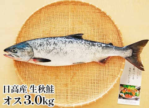 【2026年9月下旬 販売再開予定】　日高産 生秋鮭（オス・3.0kg）