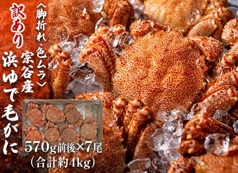【訳あり・お買い得】浜ゆで毛がに 4kg箱/570g前後×7尾（合計約4kg）（毛がに：北海道沖・ボイル冷凍）