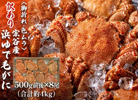 【訳あり・お買い得】浜ゆで毛がに 4kg箱/500g前後×8尾（合計約4kg）（毛がに：北海道沖・ボイル冷凍）